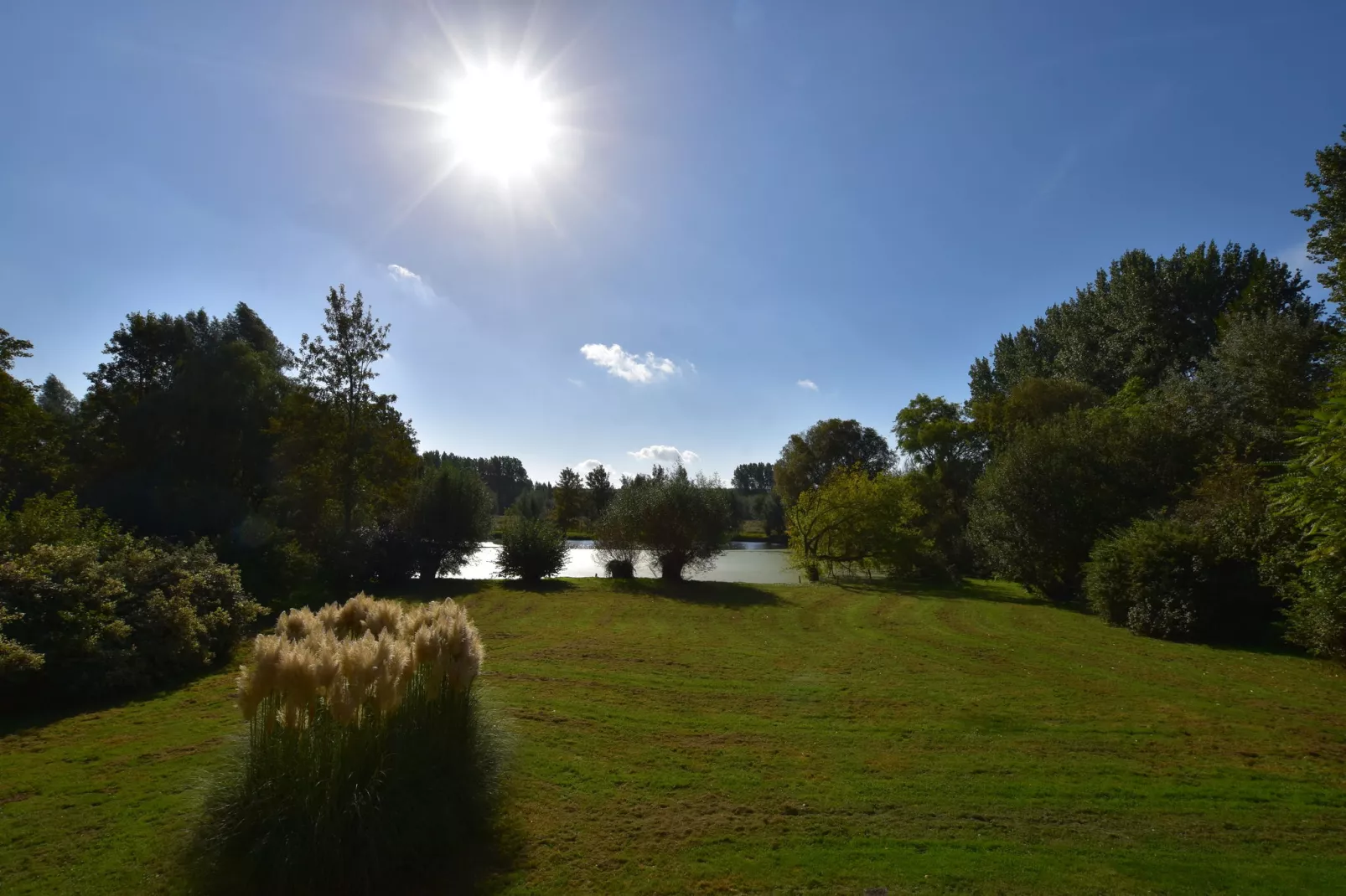 Domaine Les Ziettes-Tuinen zomer