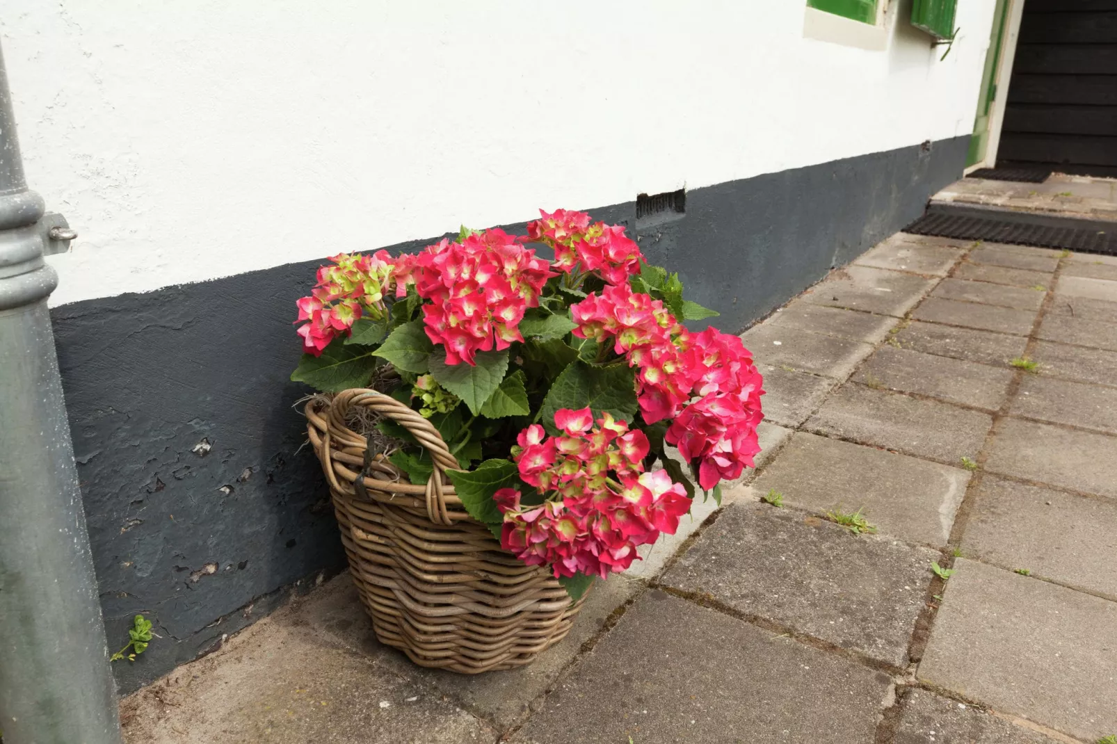 Landgoed Pijnenburg De Eik-Sfeer