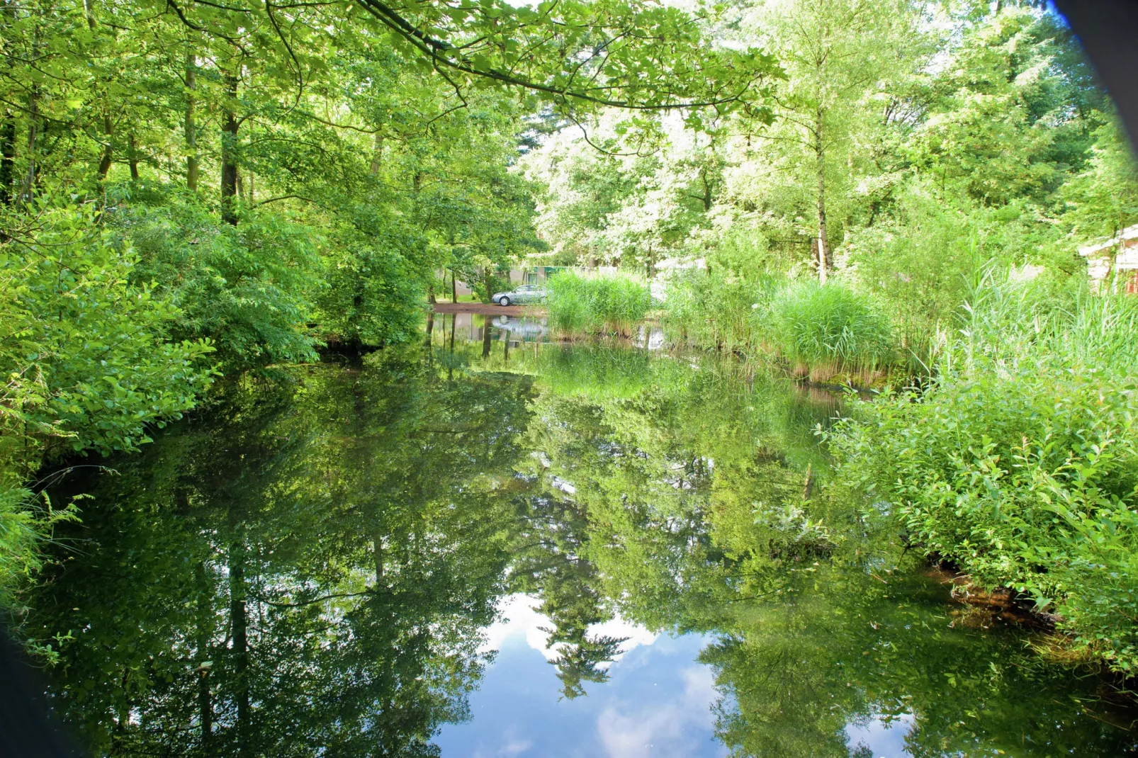 Vakantiepark de Berkenhorst 1-Gebieden zomer 5km