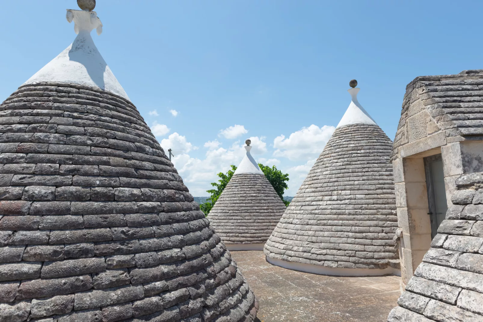 Trulli tre corbezzoli - Ostuni-Buitenkant zomer