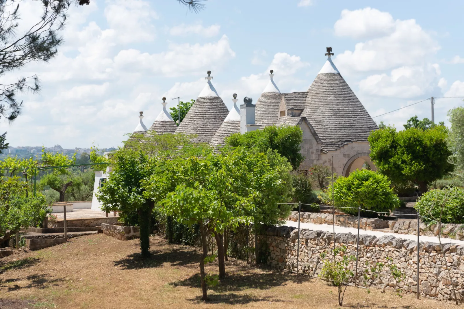 Trulli Tre Corbezzoli - Ostuni-Tuinen zomer