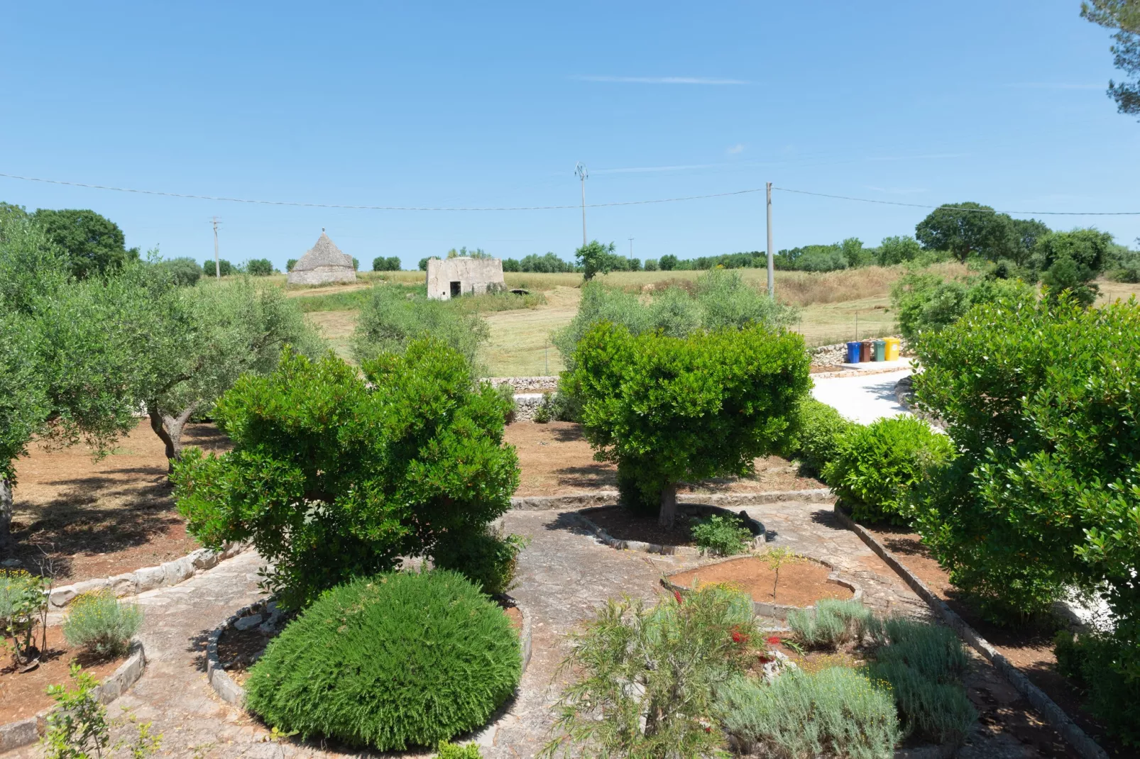 Trulli Tre Corbezzoli - Ostuni-Tuinen zomer