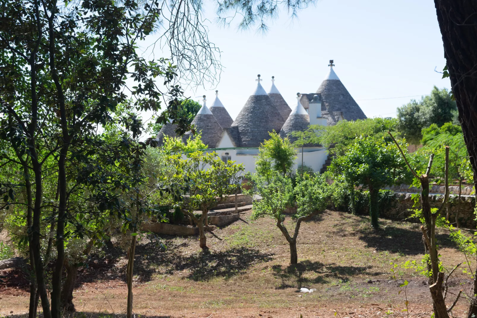 Trulli Tre Corbezzoli - Ostuni-Tuinen zomer