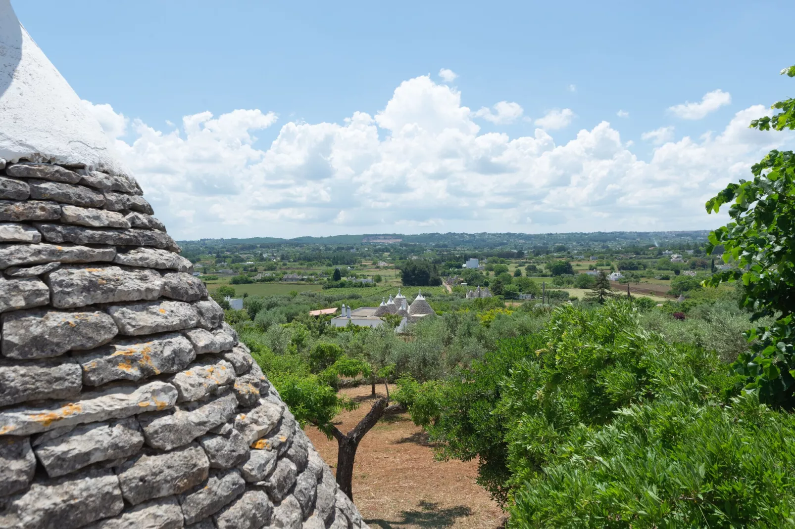 Trulli tre corbezzoli - Ostuni-Uitzicht zomer