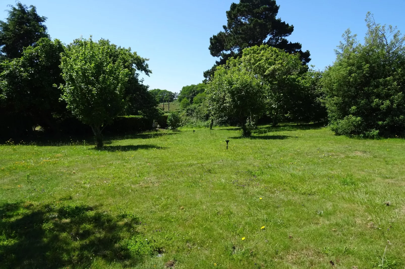 Natursteinhaus Douarnenez-Tuinen zomer