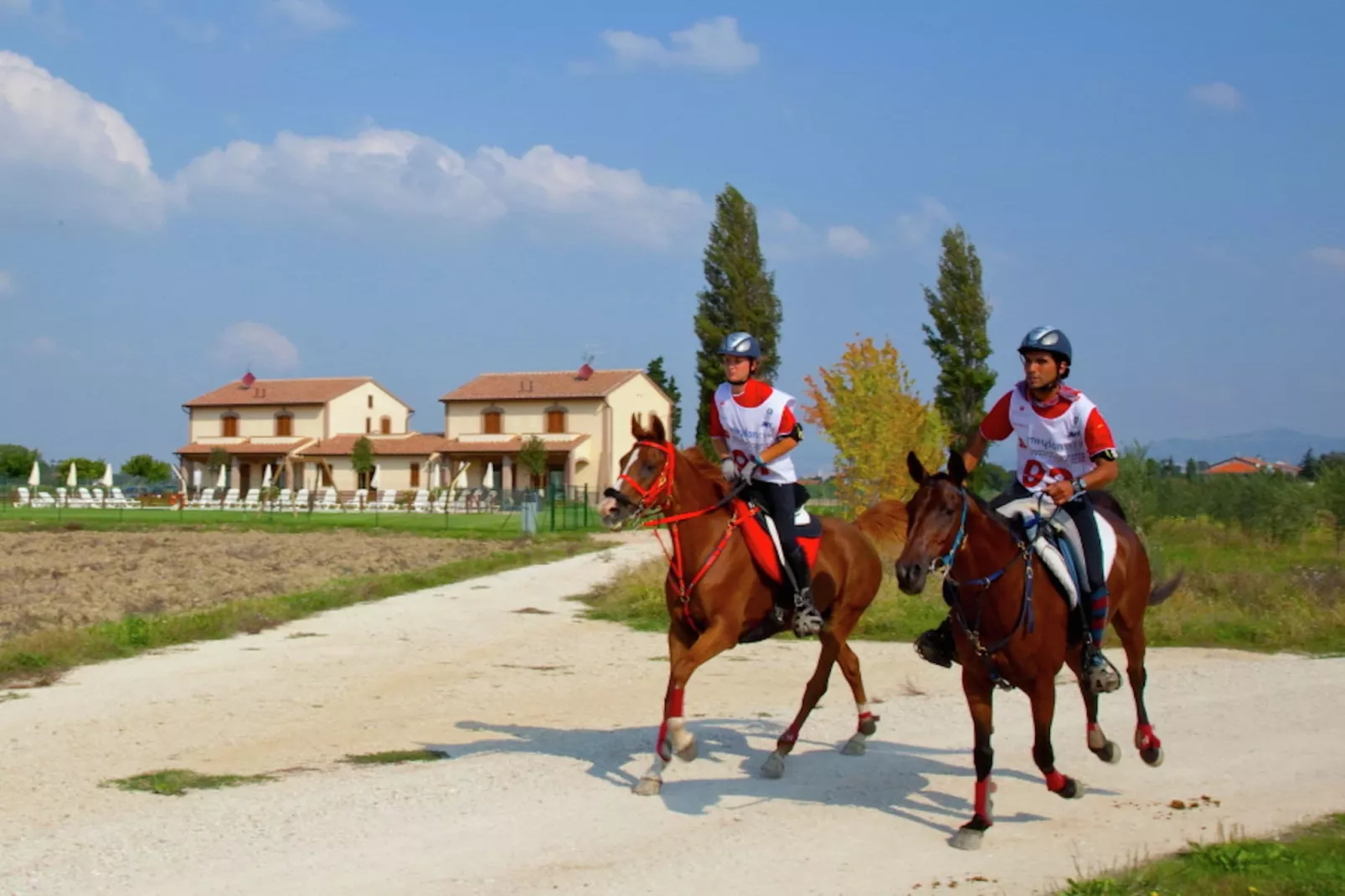 Spello-Gebieden zomer 1km