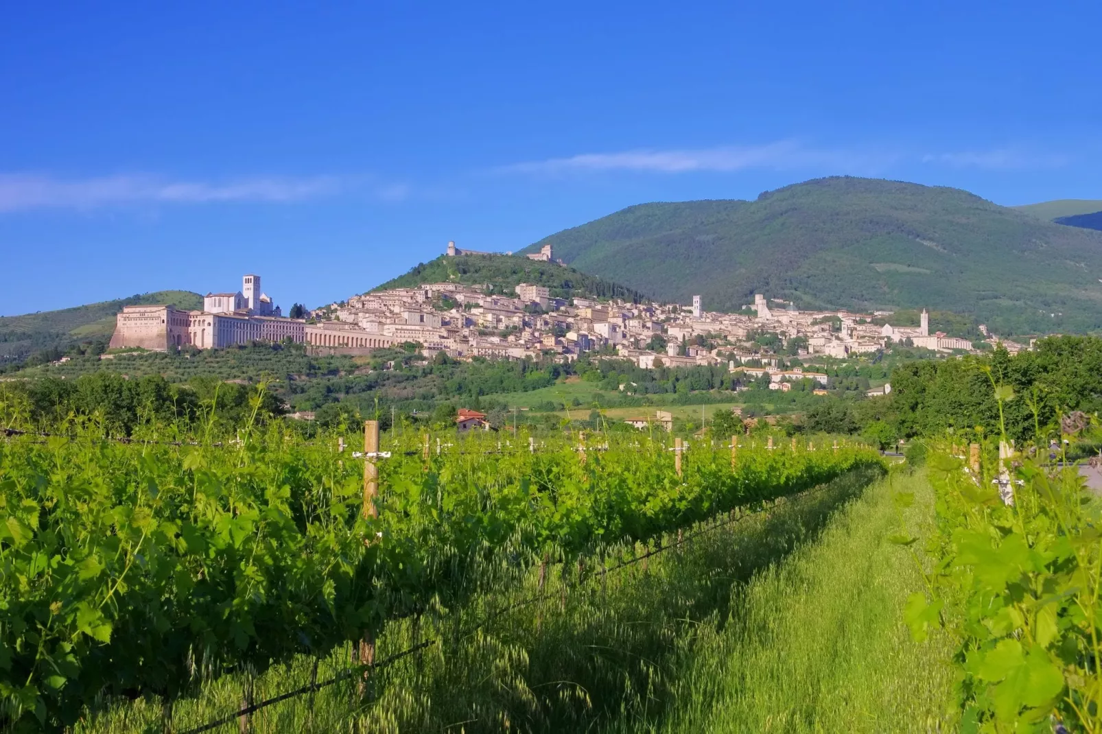 Spello-Gebieden zomer 5km