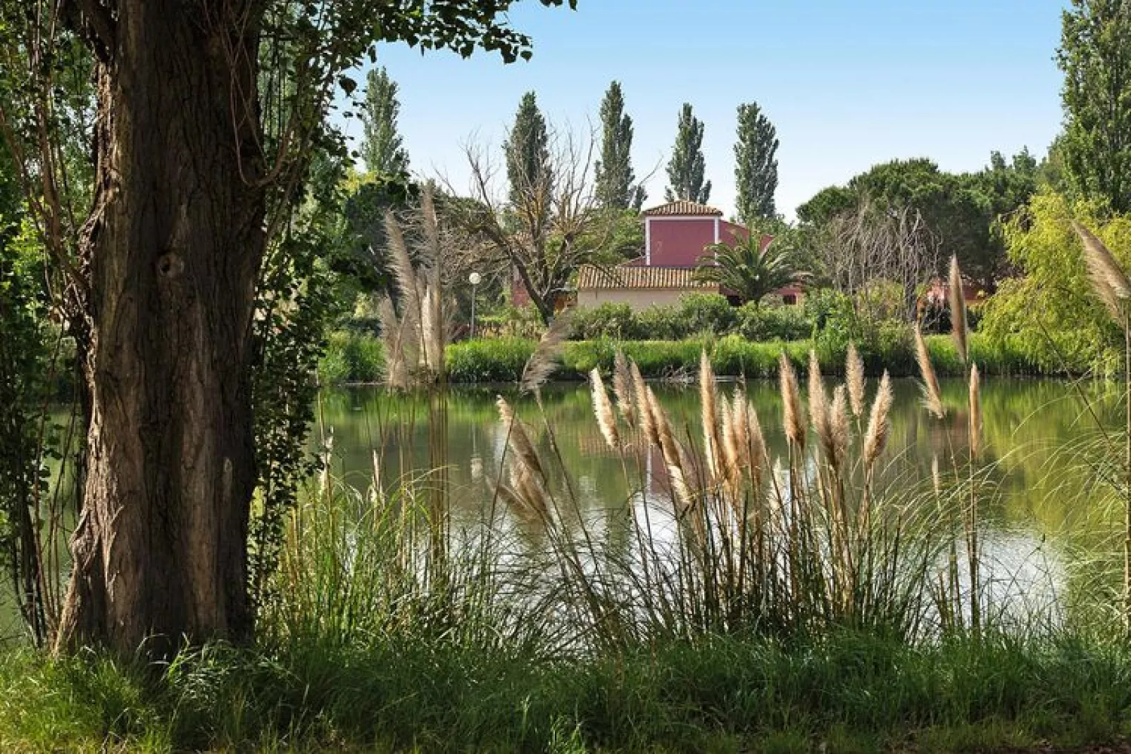 Residence Les Hameaux de Camargue Arles // Studio Cab 4 pers-Tuinen zomer