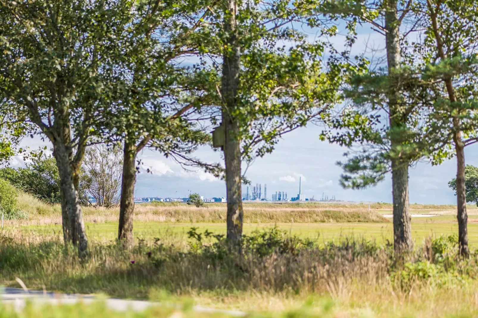 6 persoons vakantie huis op een vakantie park in Blåvand-Uitzicht