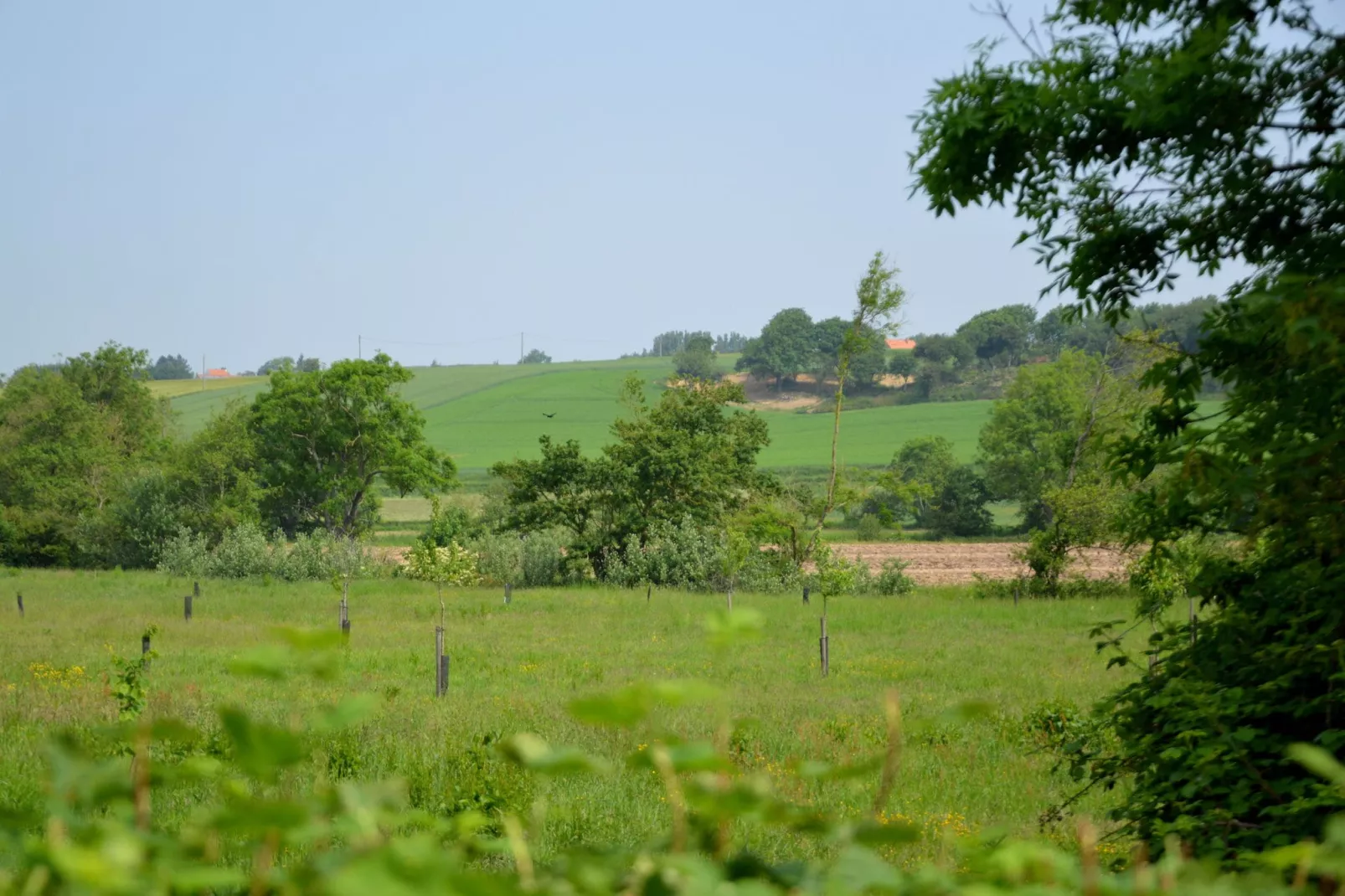 Londefort-Uitzicht zomer