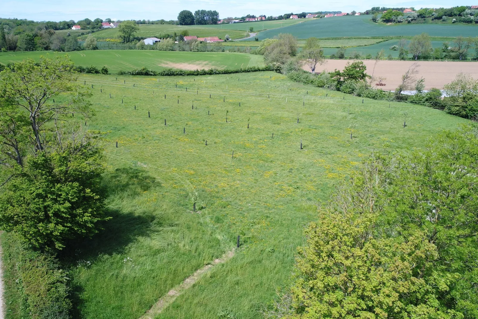 Londefort-Gebieden zomer 1km