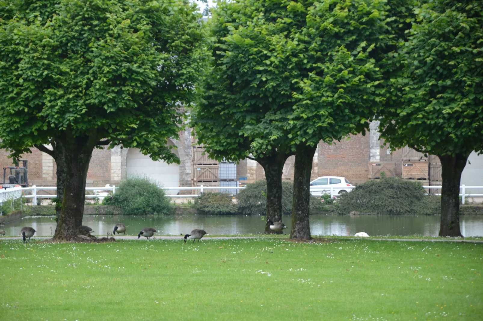 Abbaye St-André 5-Uitzicht zomer