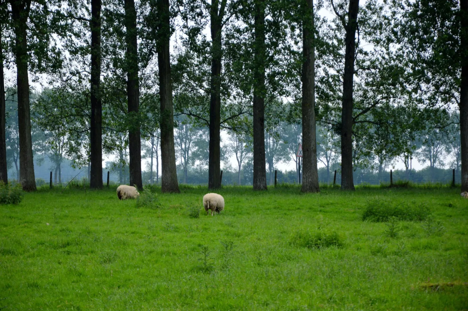 Abbaye St-André 5-Gebieden zomer 1km