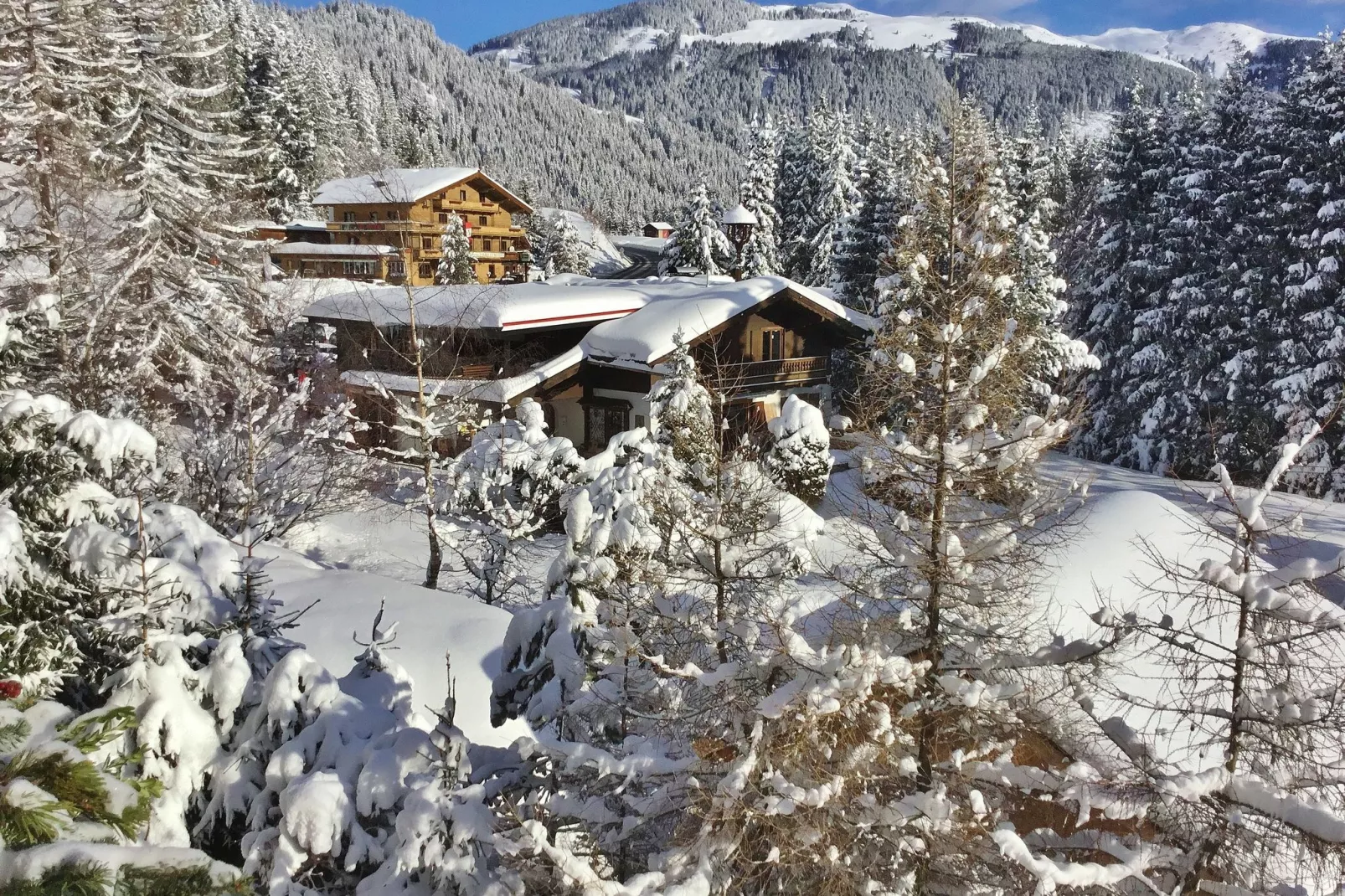 Panorama Chalet TOP 10-Uitzicht winter