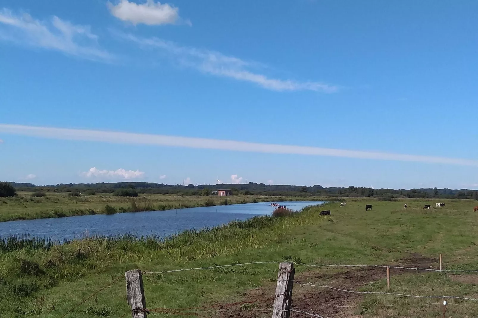 "An der Treene"-Gebieden zomer 1km