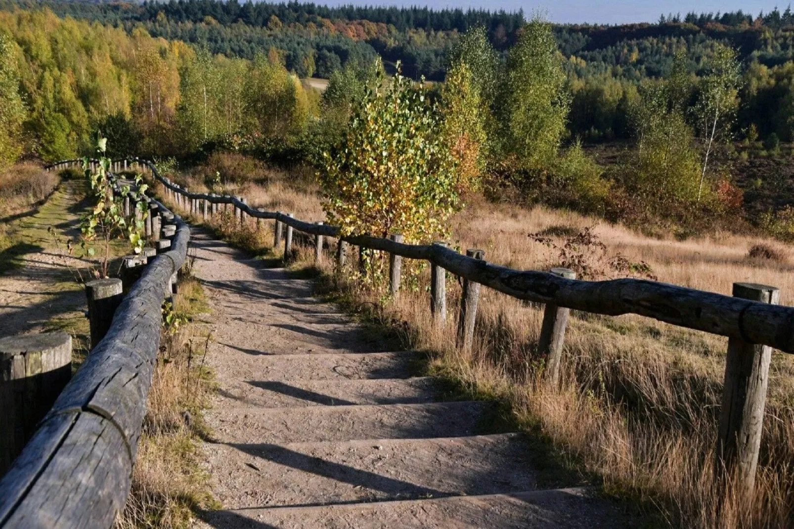 Vakantiepark De Thijmse Berg 13-Parkfaciliteiten