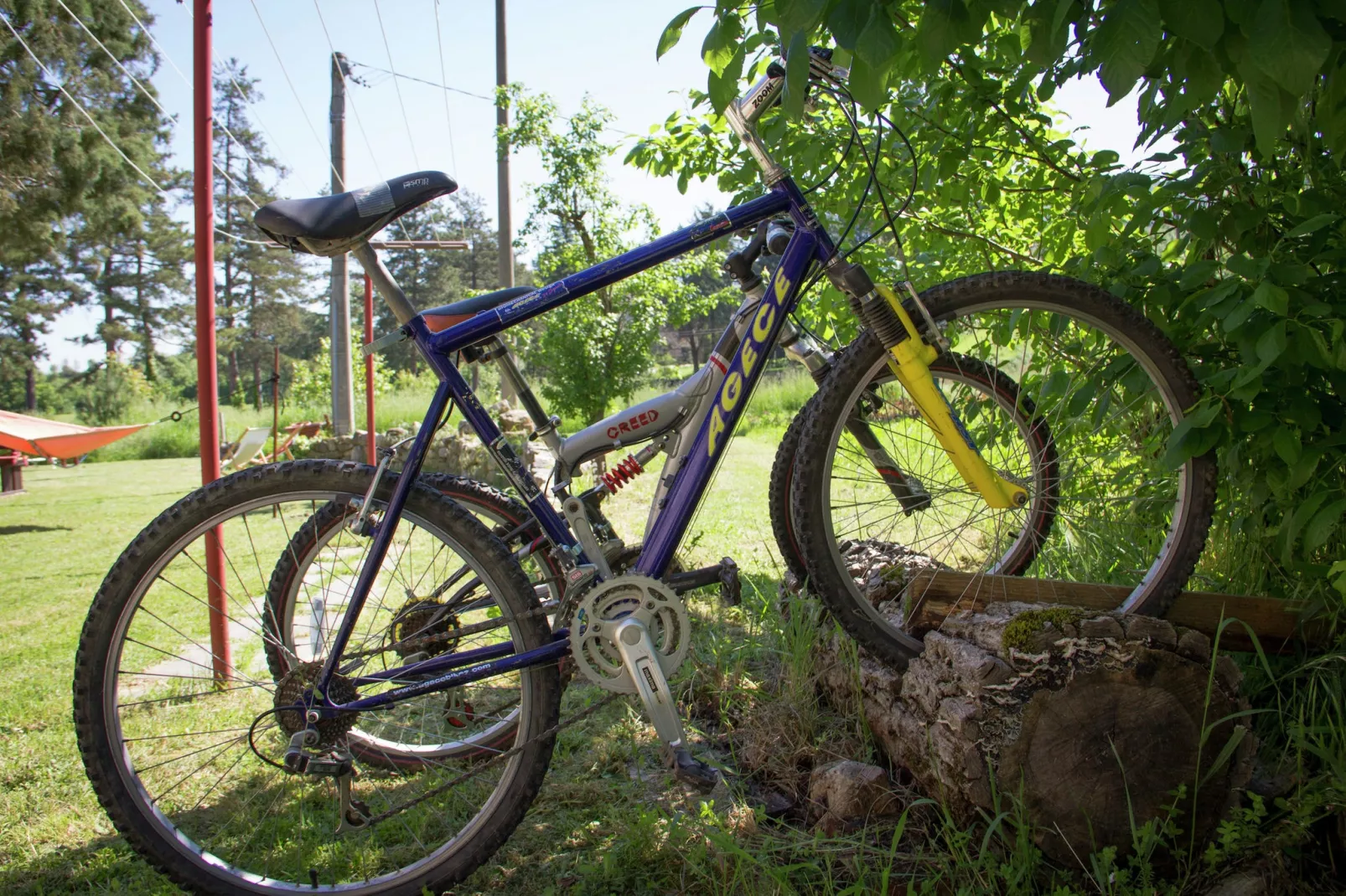 Lavanda