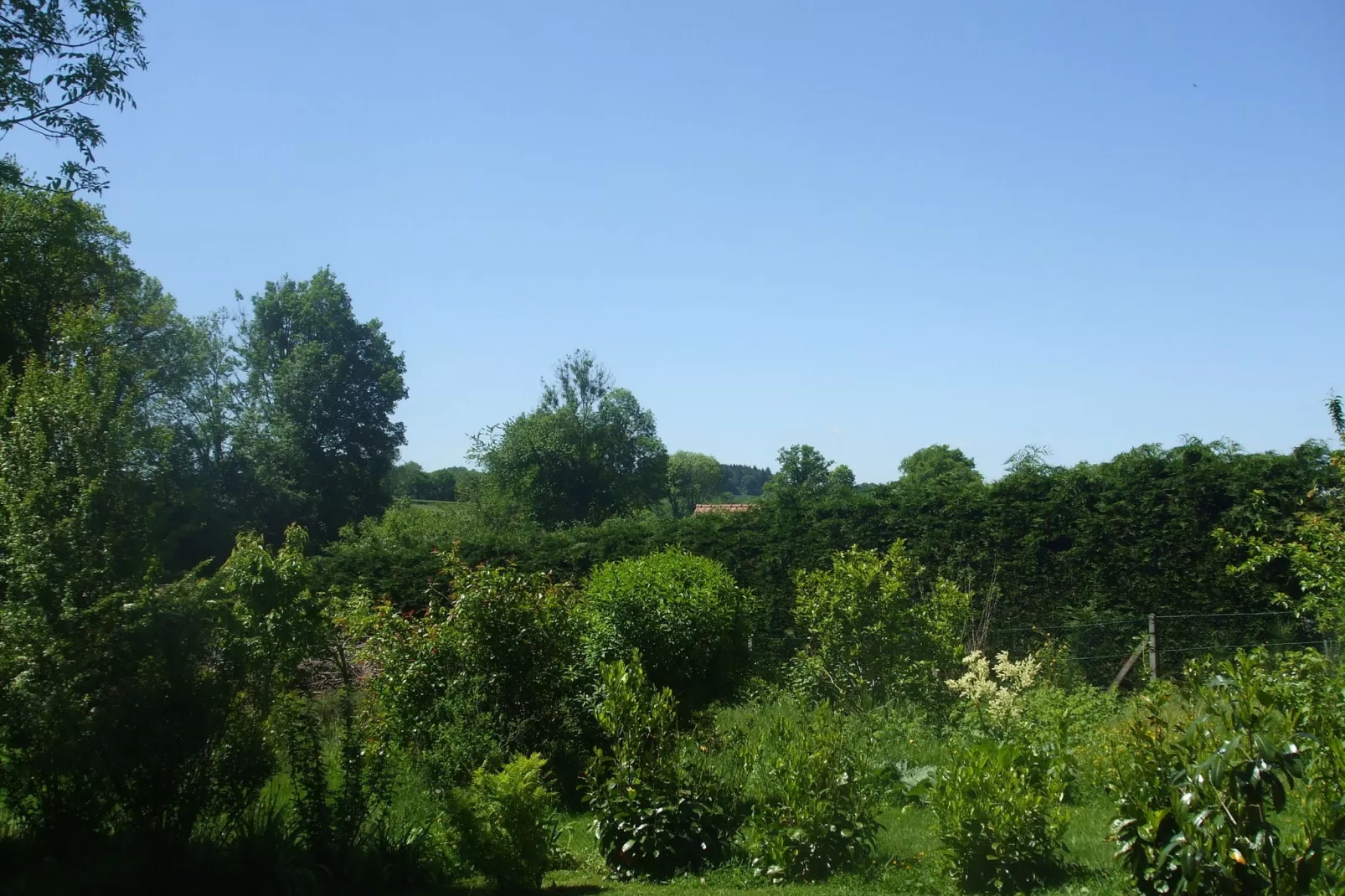 Gîte d'Artisan-Uitzicht zomer