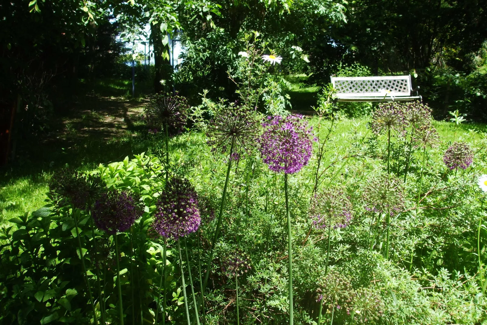Gîte d'Artisan-Tuinen zomer