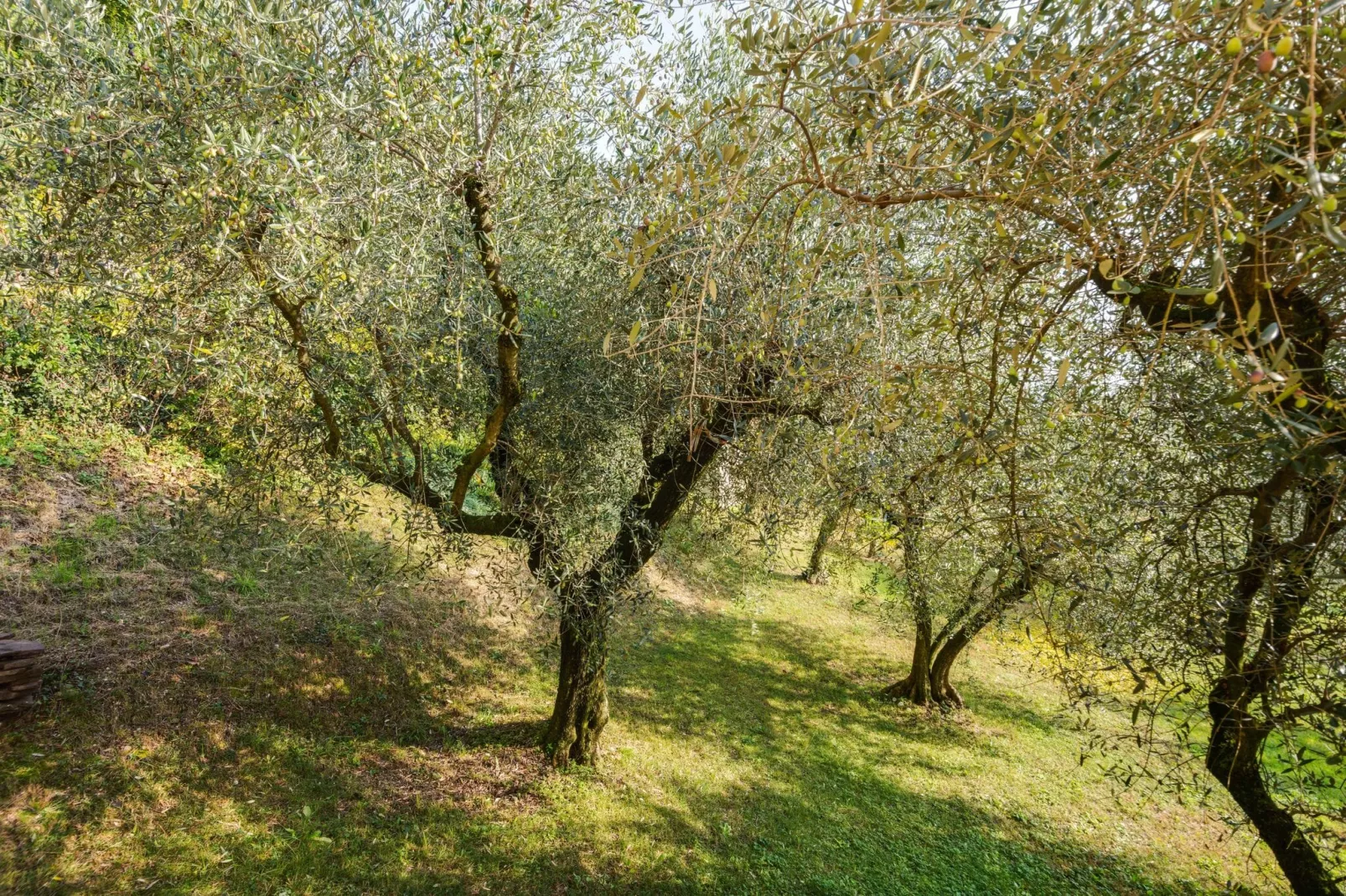 Villa Pozzol-Uitzicht zomer