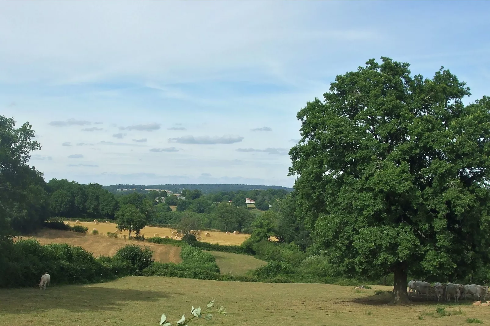 Gîte d'Artisan-Gebieden zomer 5km