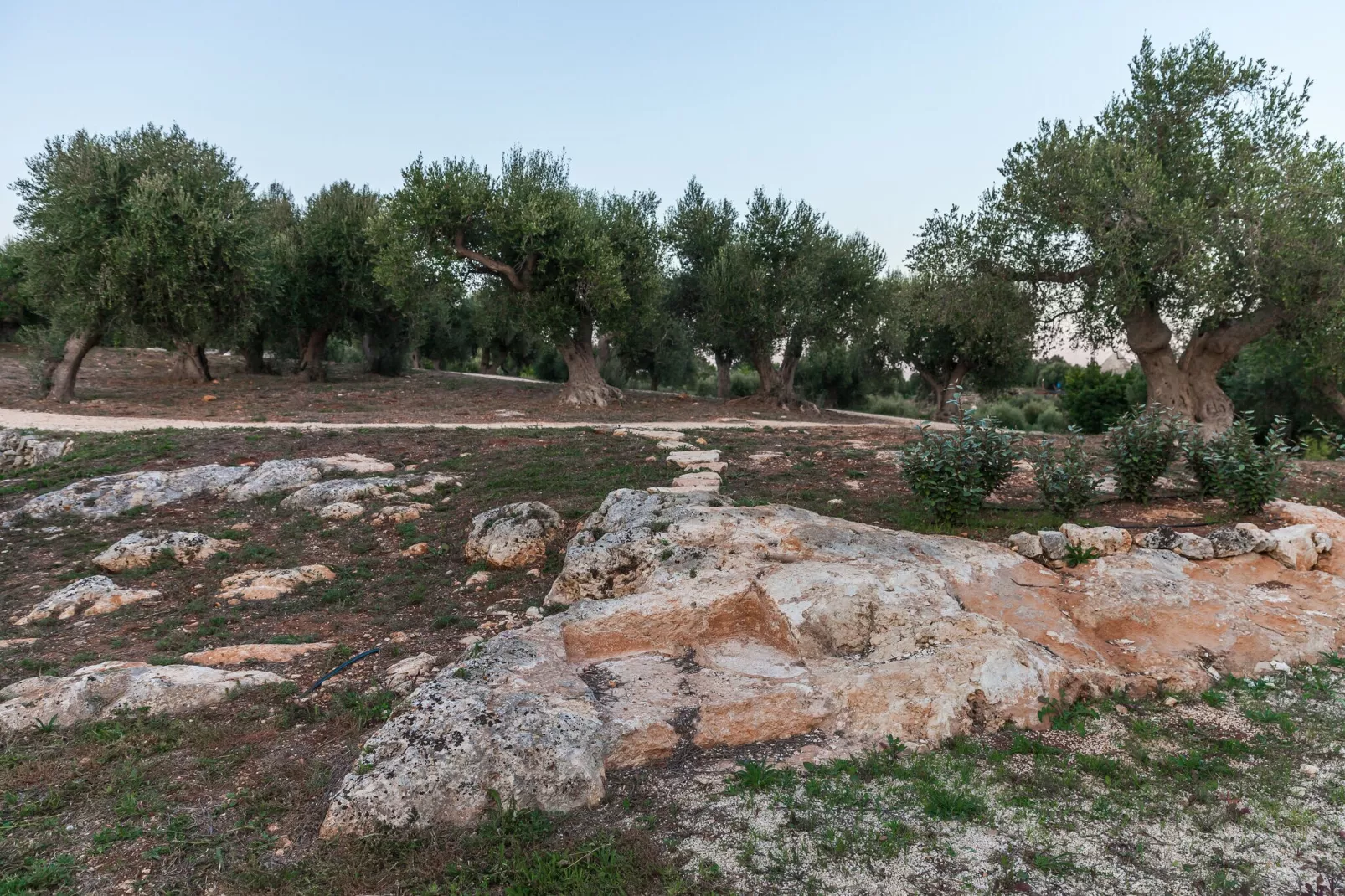 Luxury Trullo Termetrio in Cisternino-Tuinen zomer