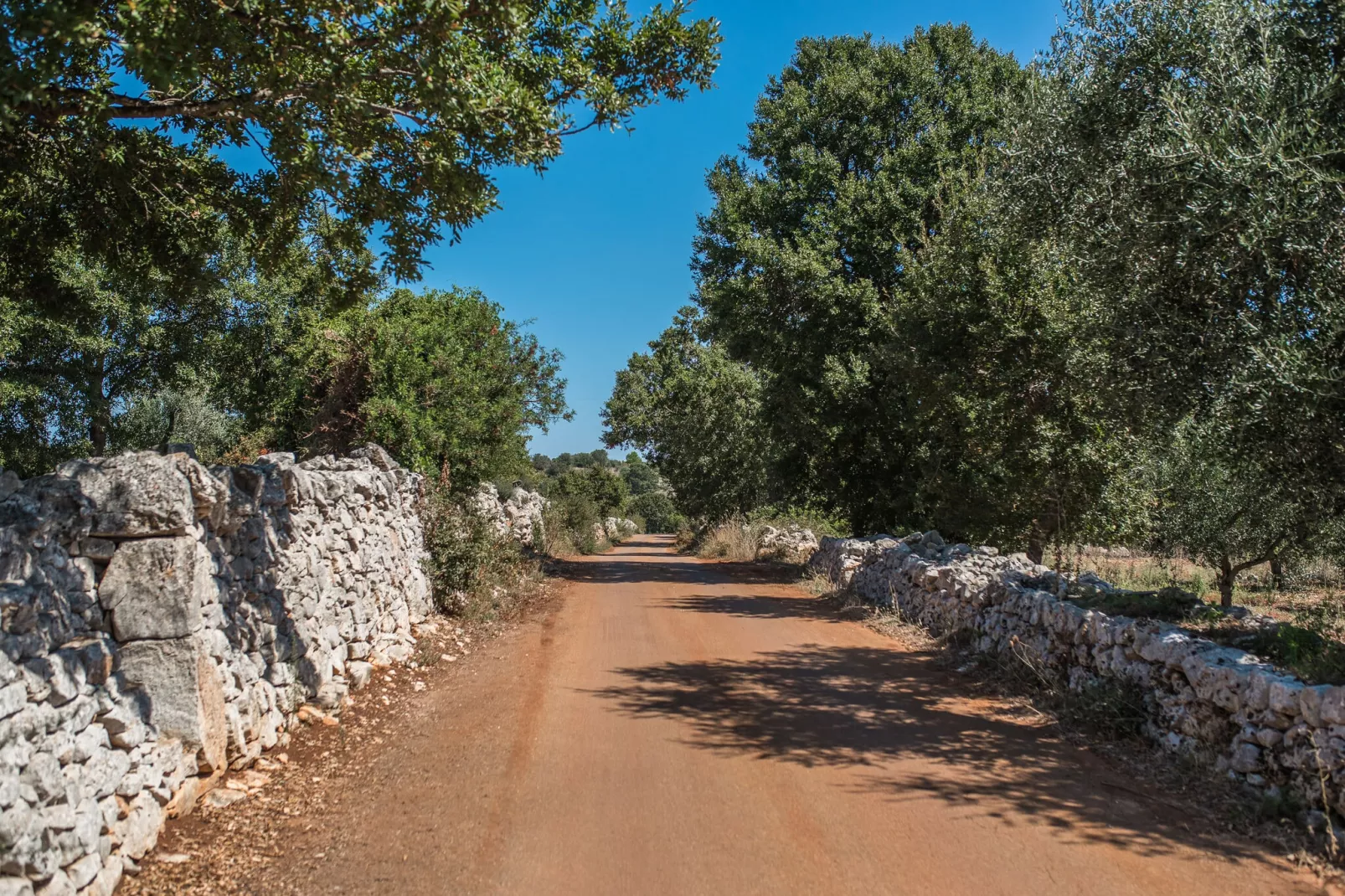 Luxury Trullo Termetrio in Cisternino-Tuinen zomer