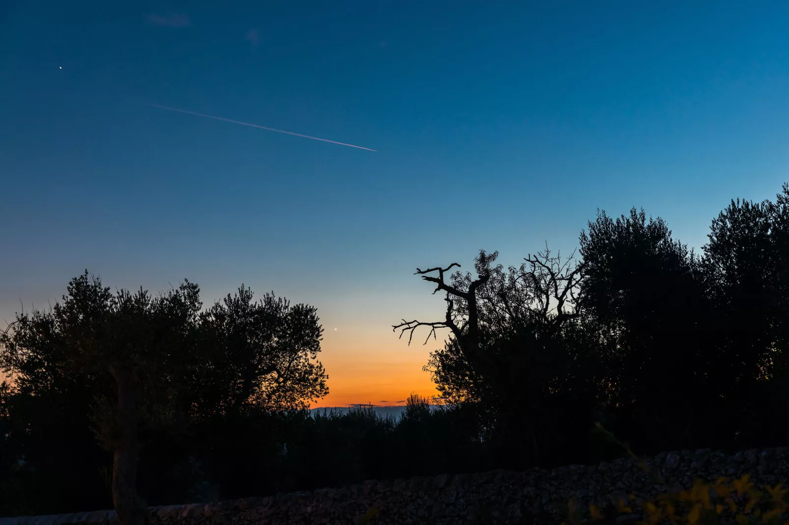 Luxury Trullo Termetrio in Cisternino-Uitzicht zomer