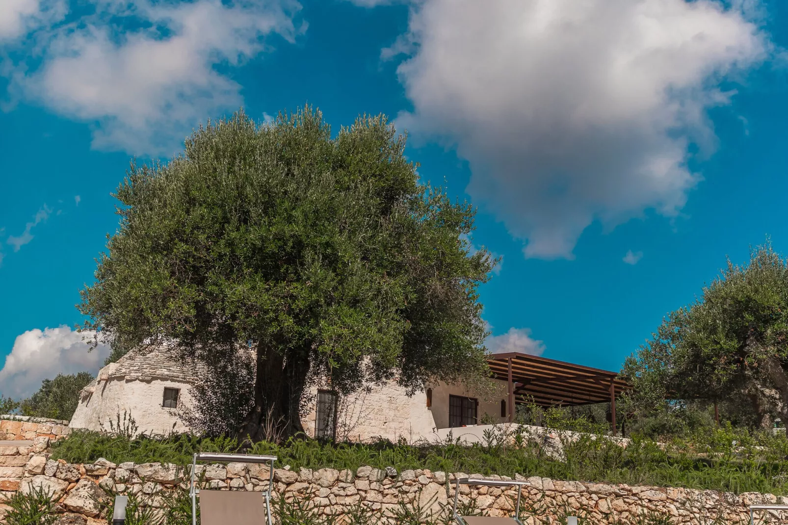 Luxury Trullo Termetrio in Cisternino-Buitenkant zomer