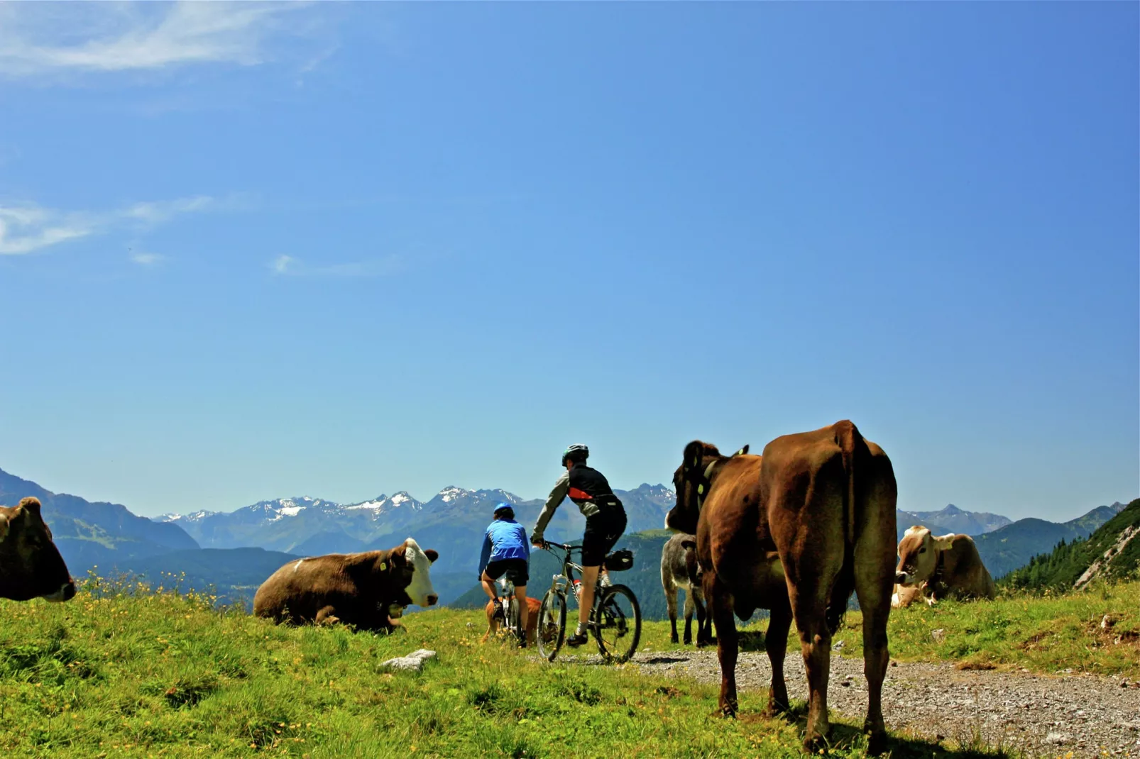 Haus Westermeyr-Gebieden zomer 5km