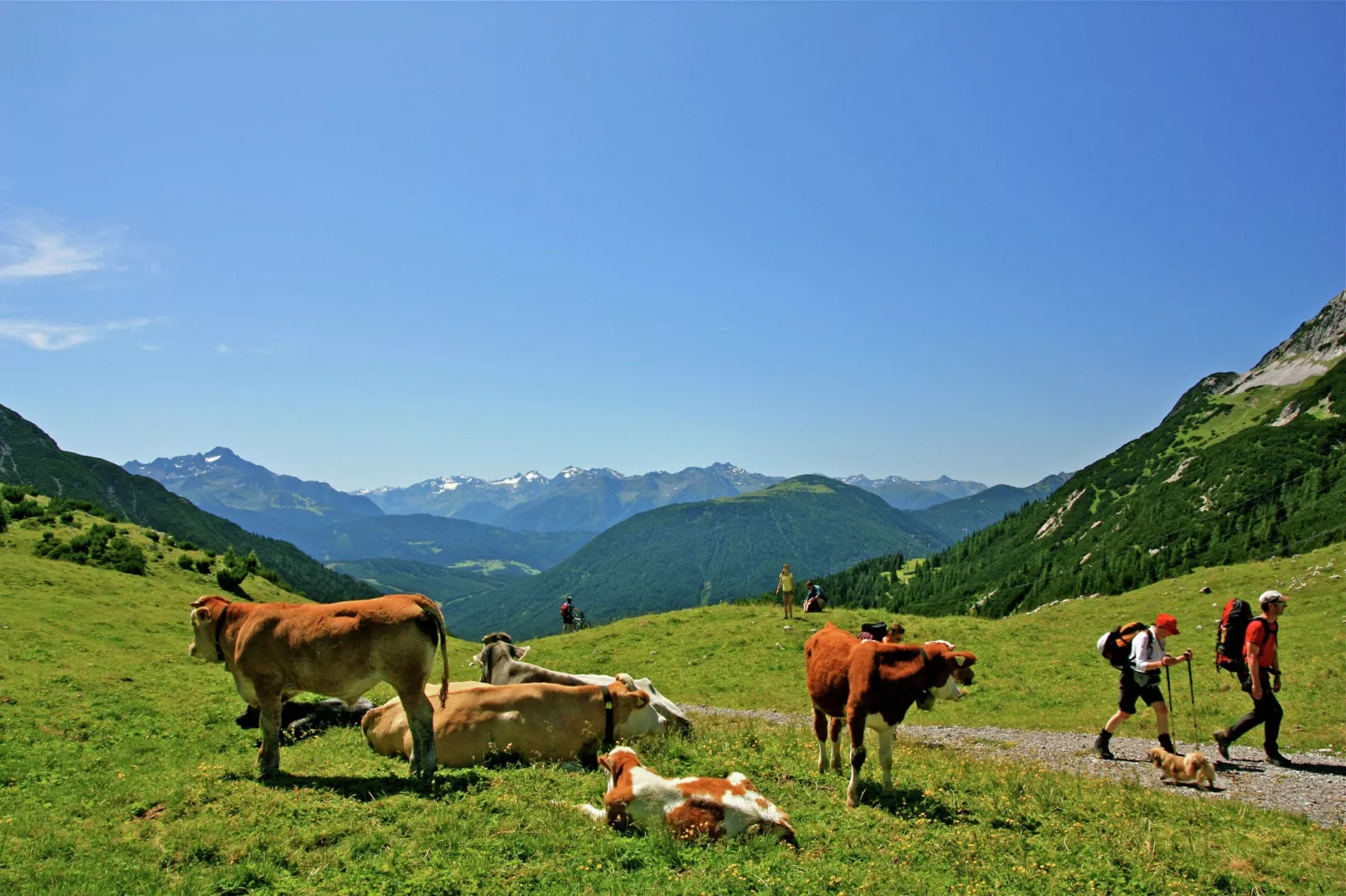 Haus Westermeyr-Gebieden zomer 5km