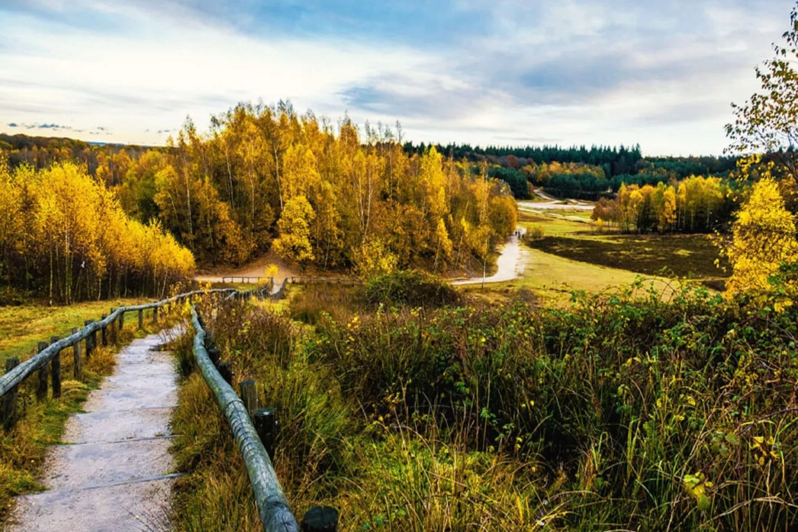 Vakantiepark De Thijmse Berg 17-Gebieden zomer 5km