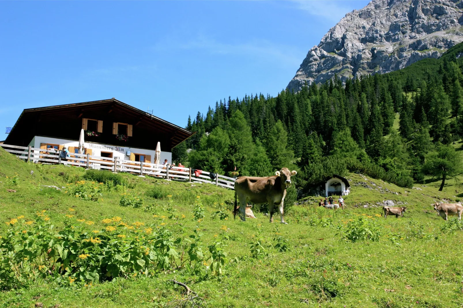 Haus Westermeyr-Gebieden zomer 5km