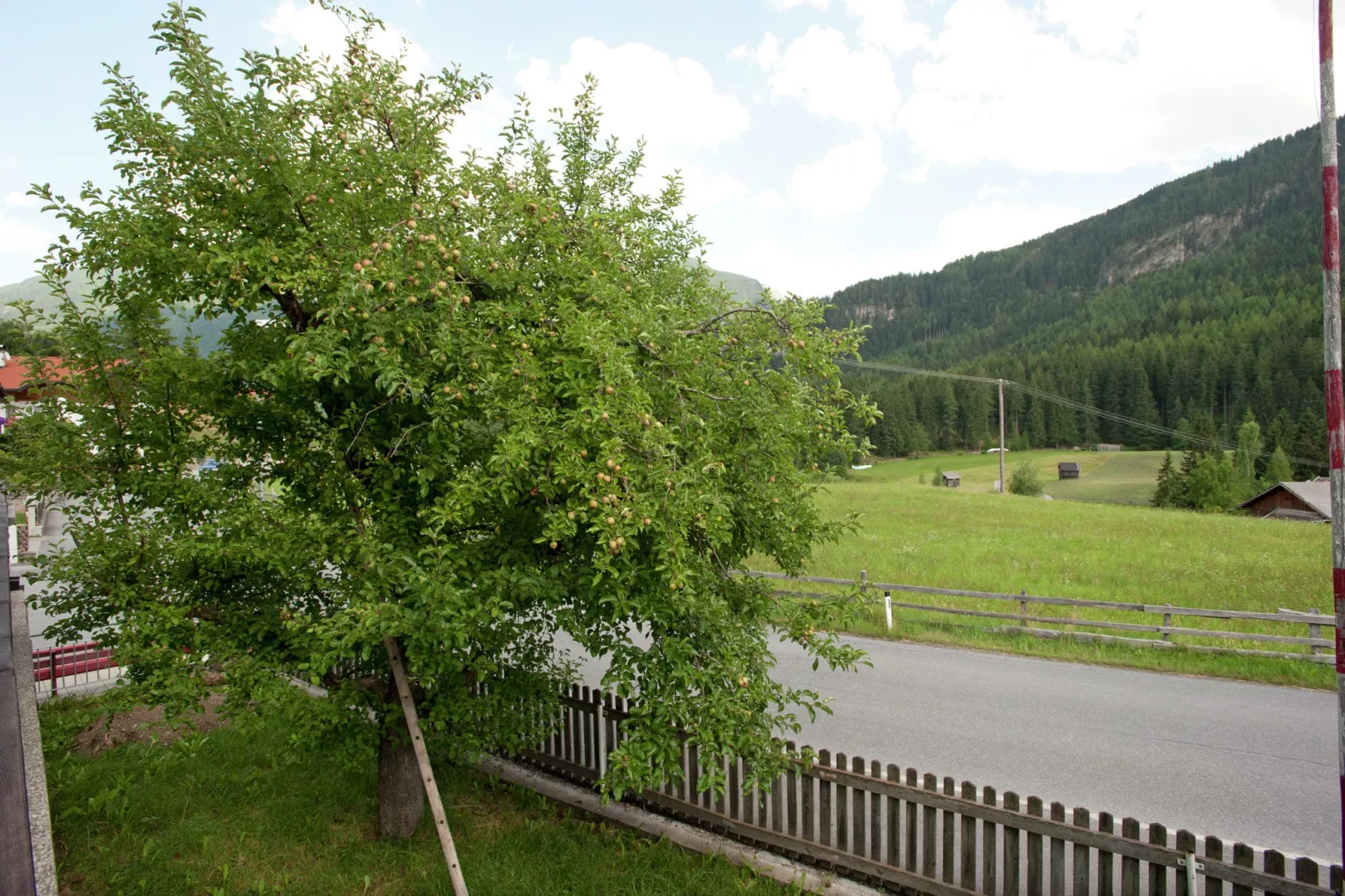 Haus Alpenblick-Tuinen zomer
