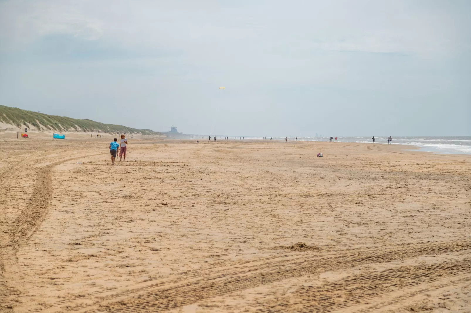 Noordwijkse Duinen 2-Gebieden zomer 5km