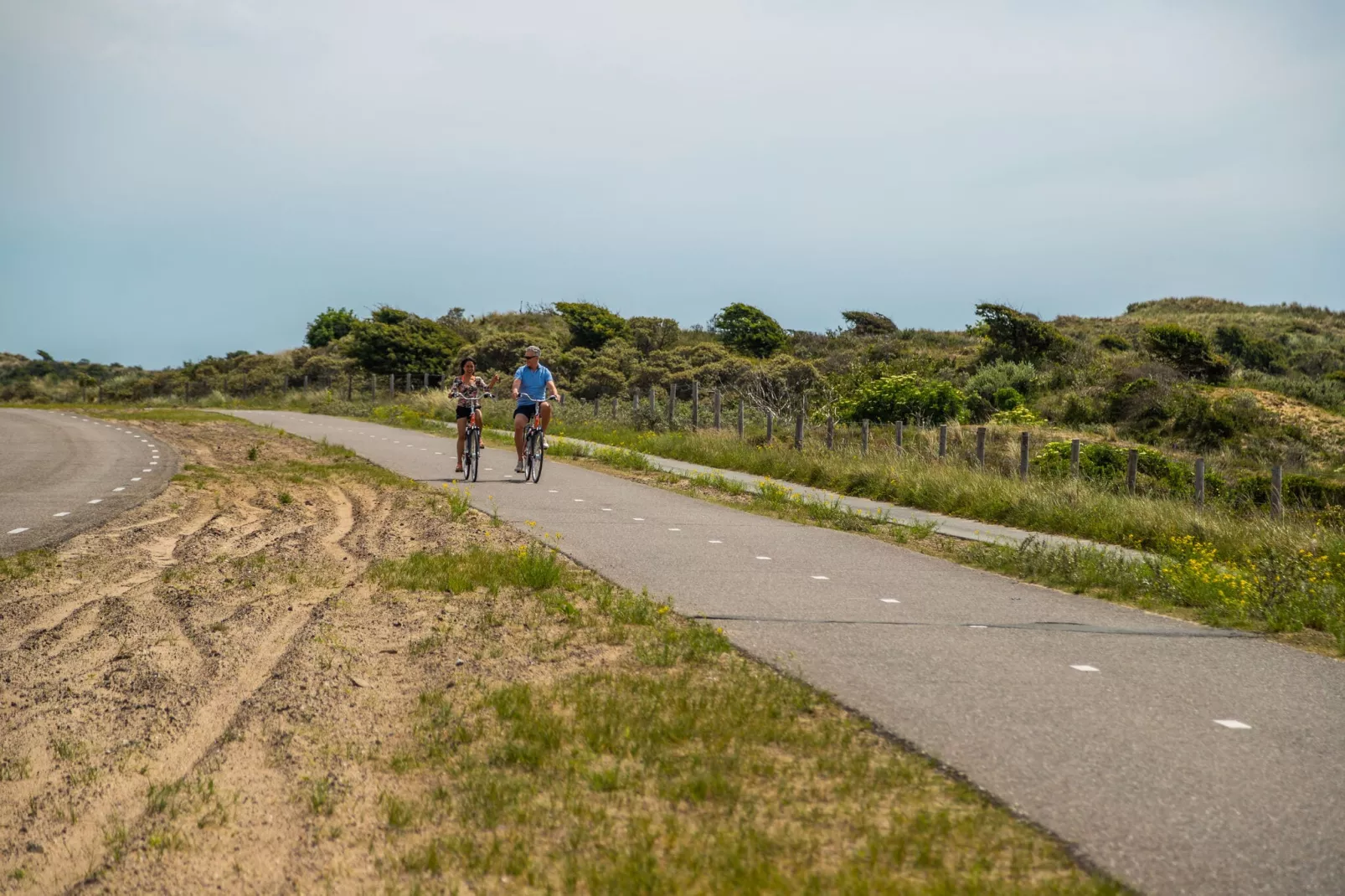 Noordwijkse Duinen 2-Gebieden zomer 5km