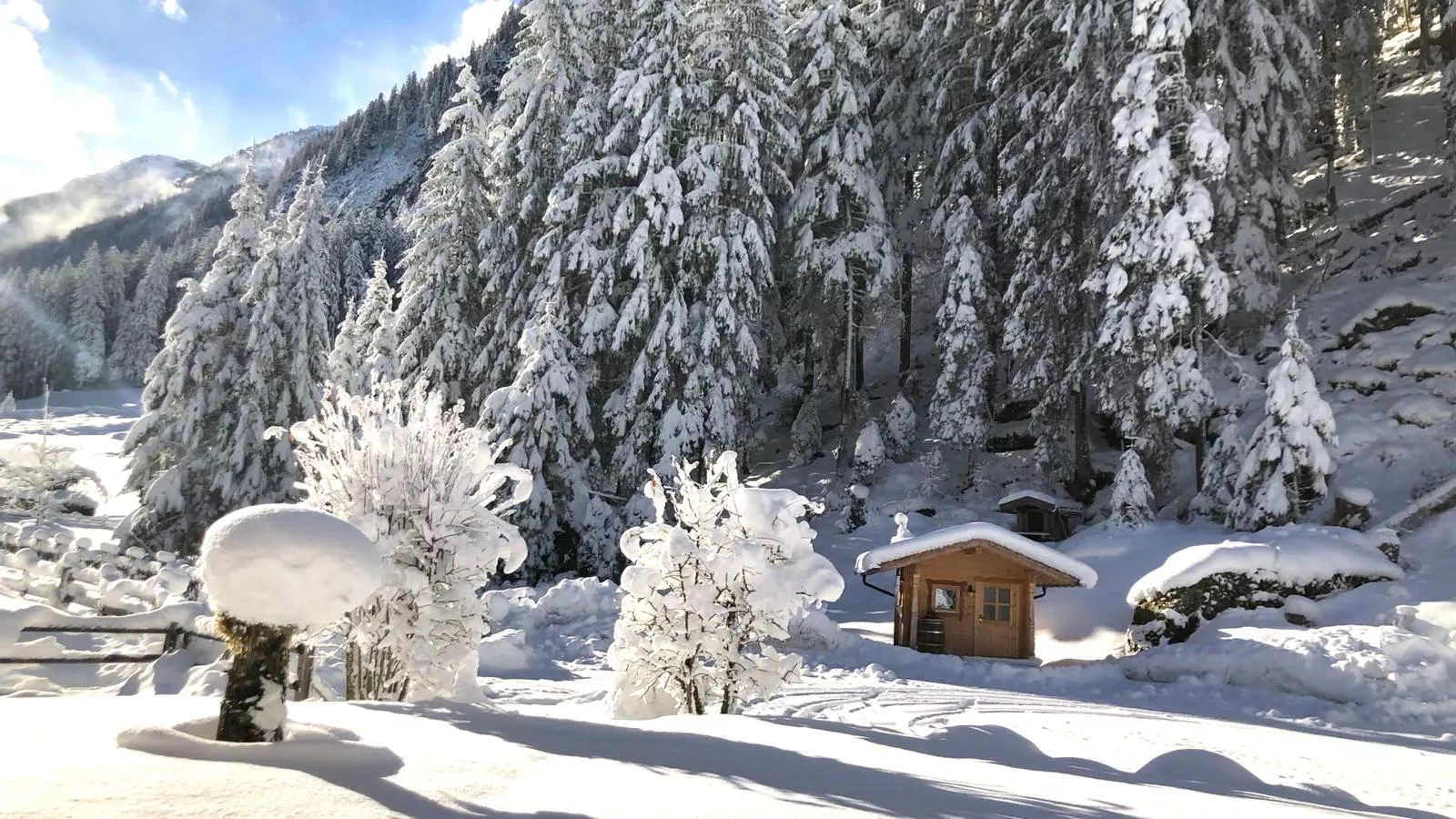 Alpenhaus Lacknerbrunn-Tuin winter
