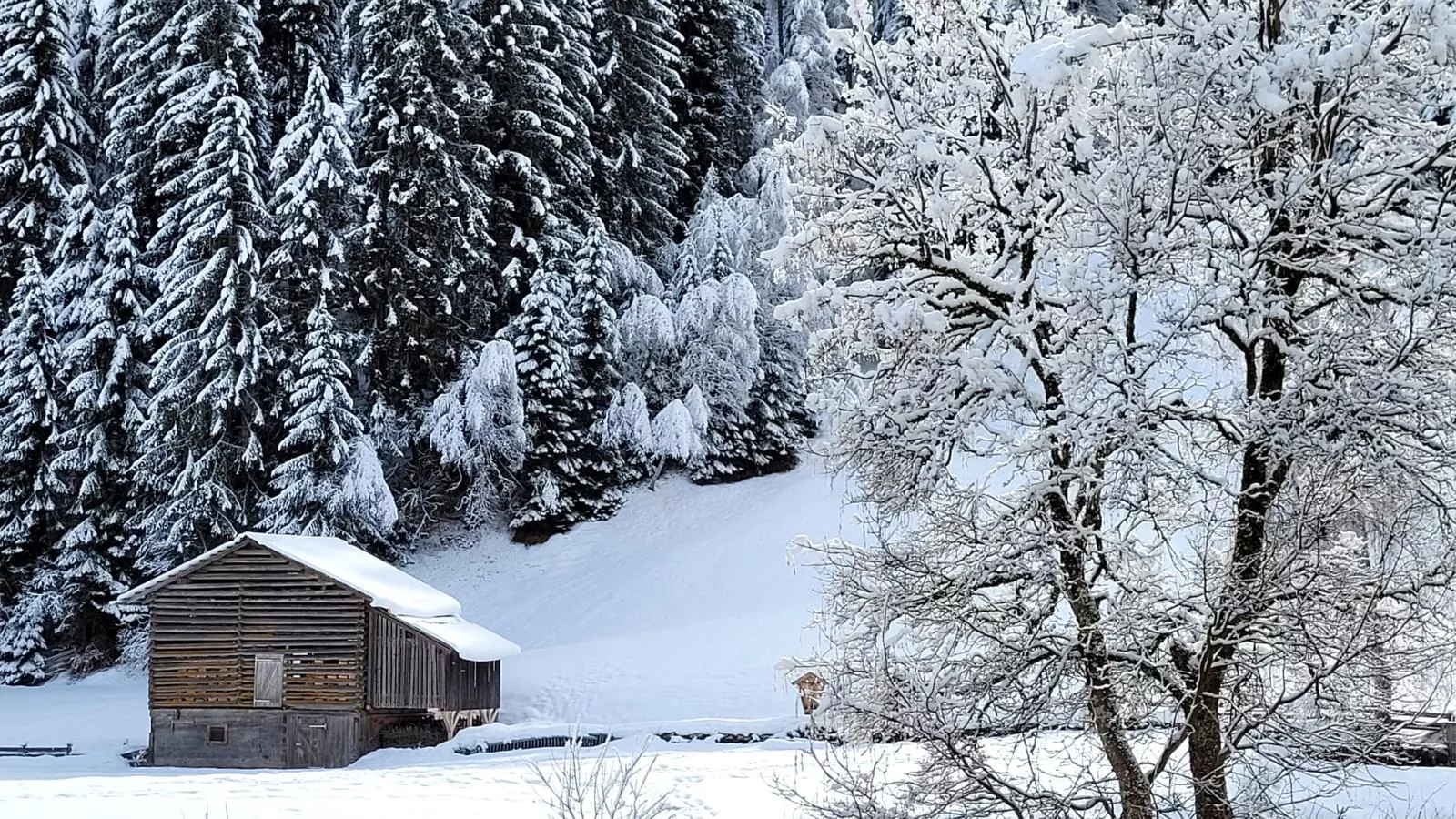 Chalet Holdernach-Gebied winter 1km