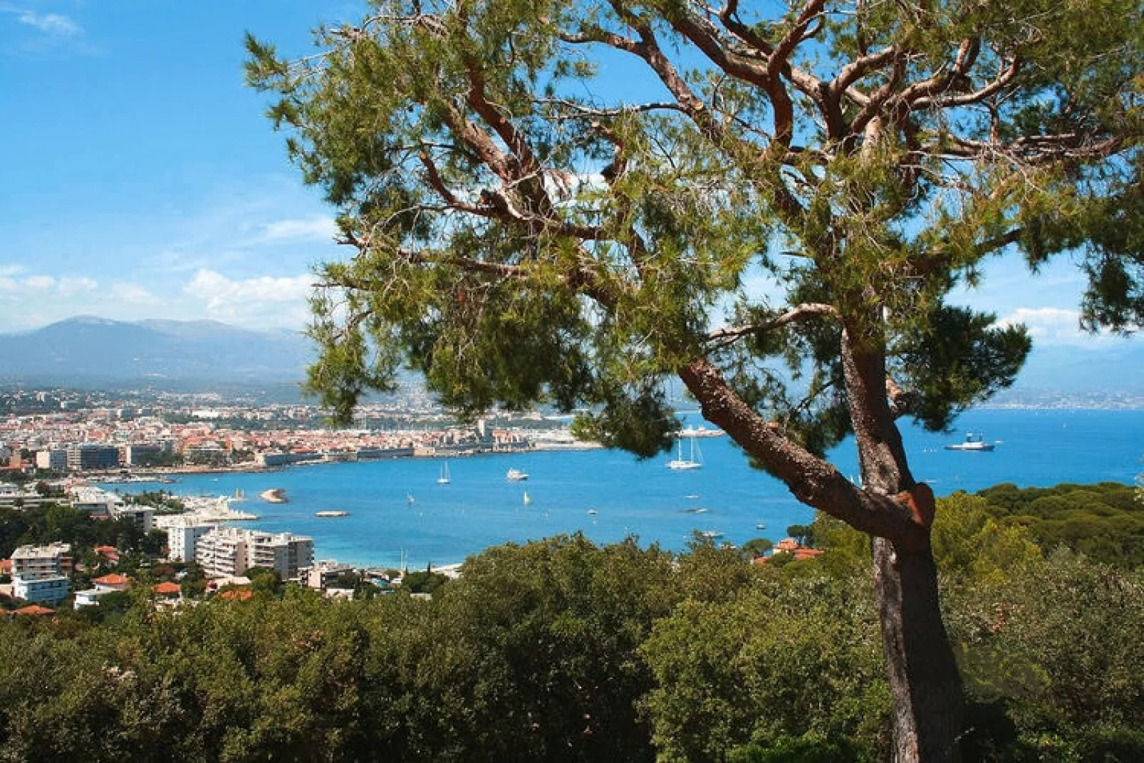 Residence Les Rives de Cannes Mandelieu Mandelieu-la-Napoule - 25 Standard - Apt 5 p - 1 bedroom-Gebieden zomer 1km