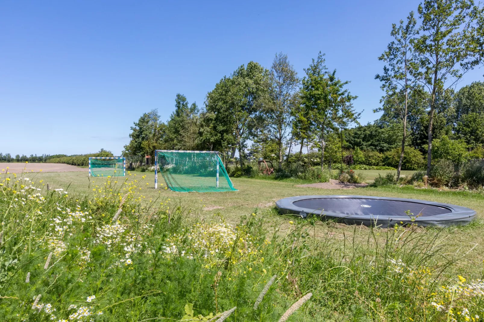 Familiehuis t Blauwzwartje-Tuinen zomer