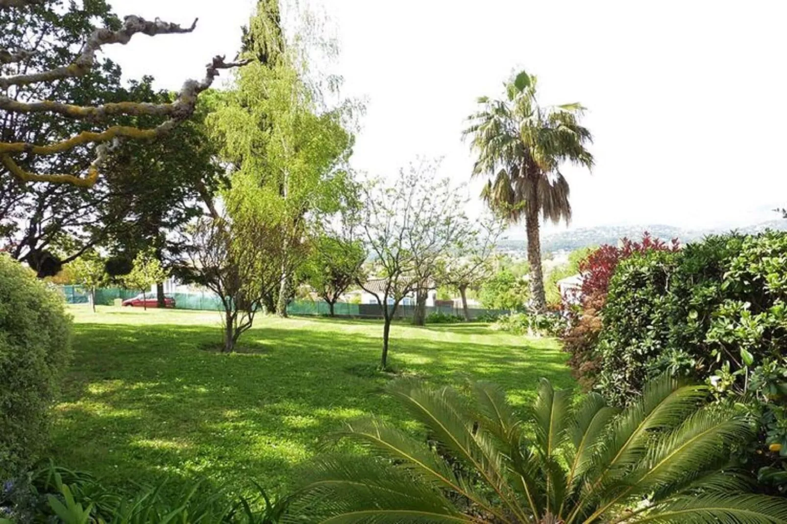 Ferienhaus in Cagnes-sur-Mer-Tuinen zomer