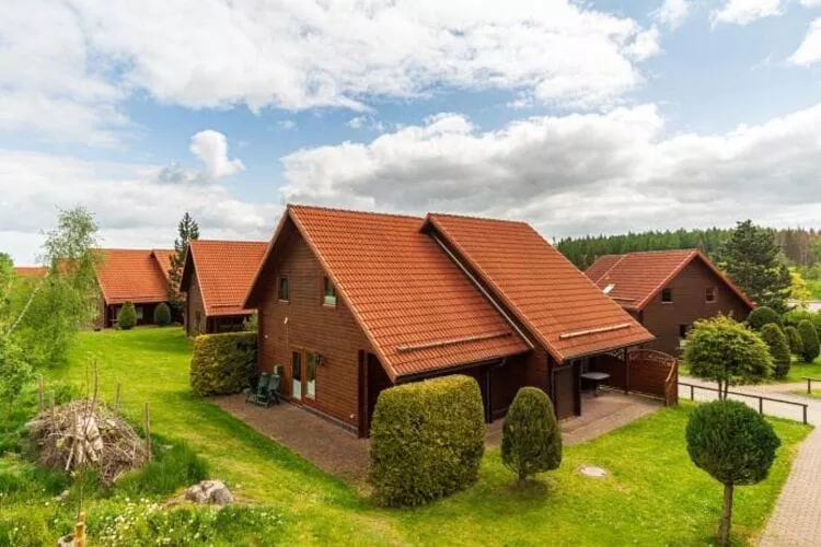 Ferienhaus in Hasselfelde - Haus 54 Blauvogel-Buitenkant zomer