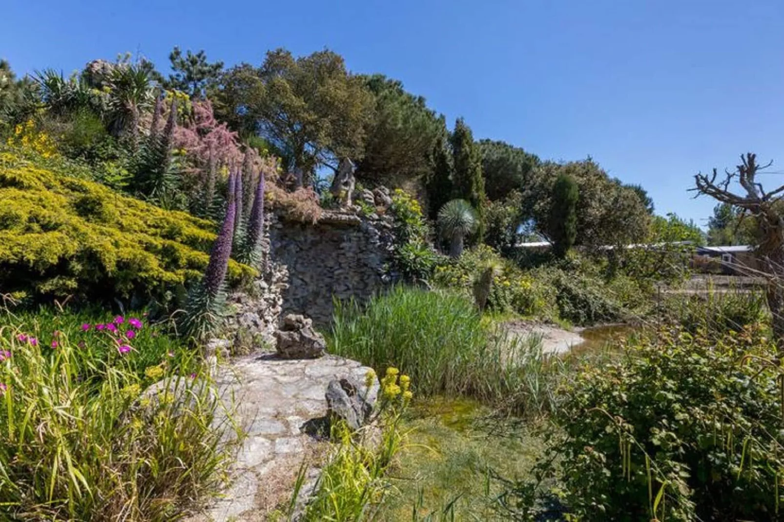 Fort den Haak - Chalet 1 tm 15  hond-Gebieden zomer 1km