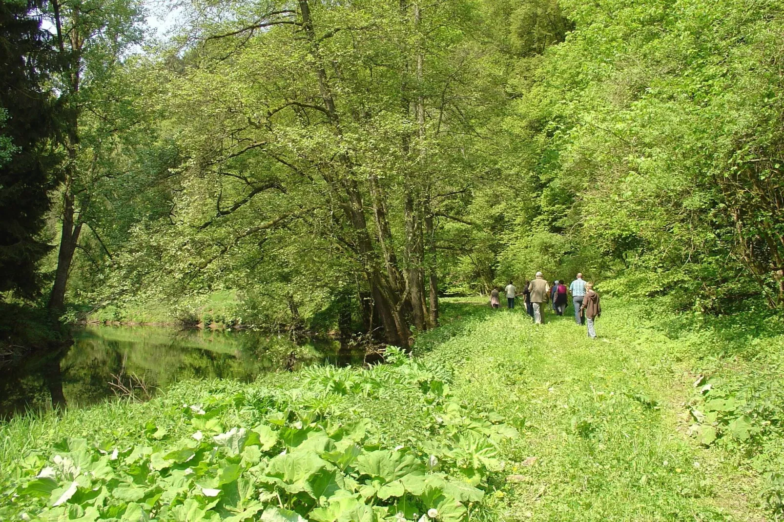 Ferienhaus Auszeit - Für Naturgenuss und Erholung-Gebieden zomer 1km