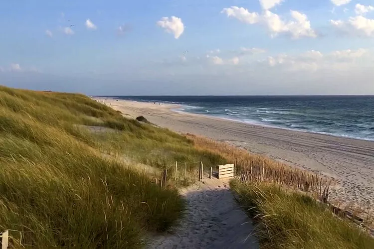 Ferienhaus in Neukirchen 11 P-Gebieden zomer 1km