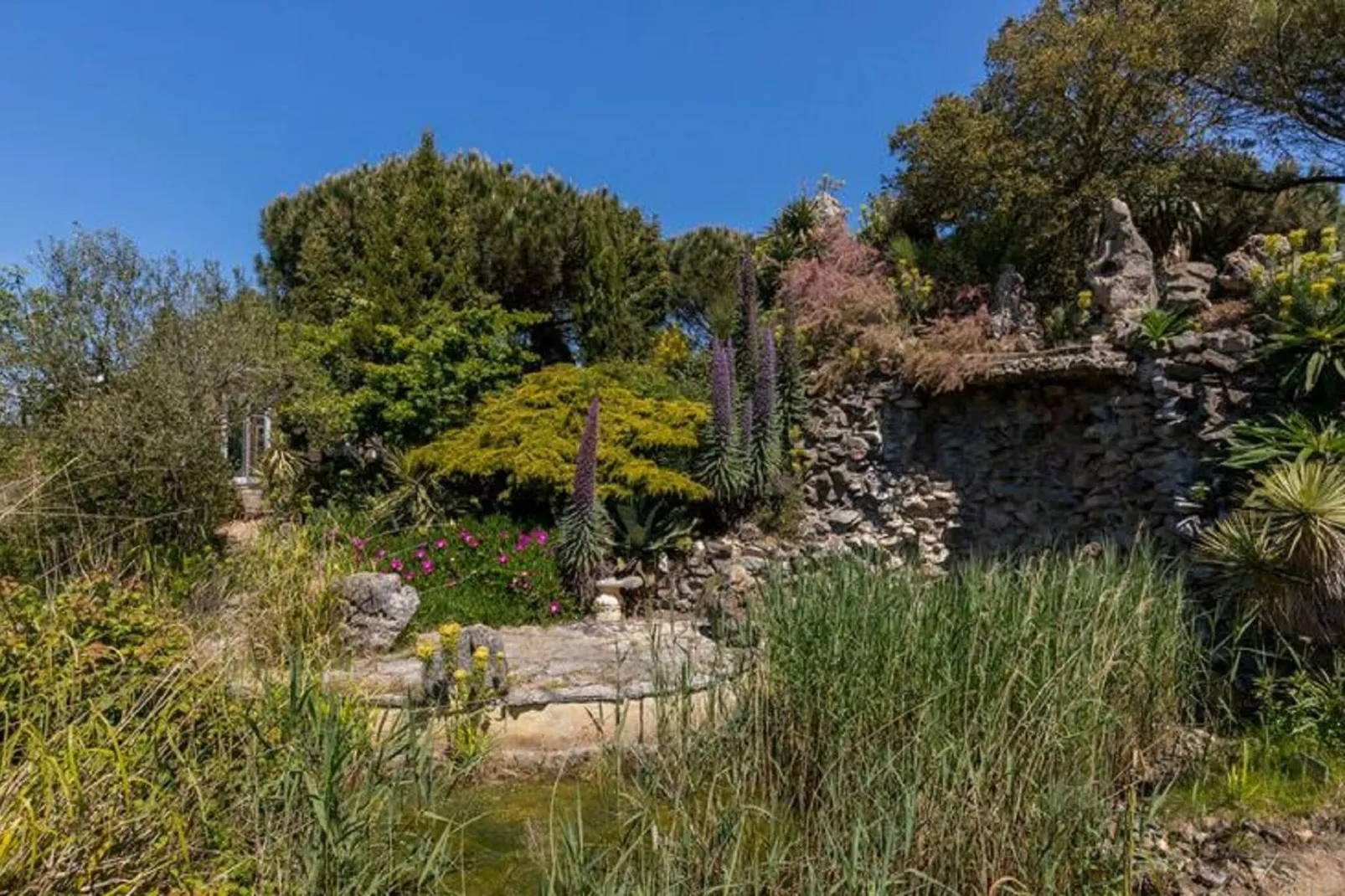 Fort den Haak - Chalet 1 t/m 10 huisdiervrij-Tuinen zomer