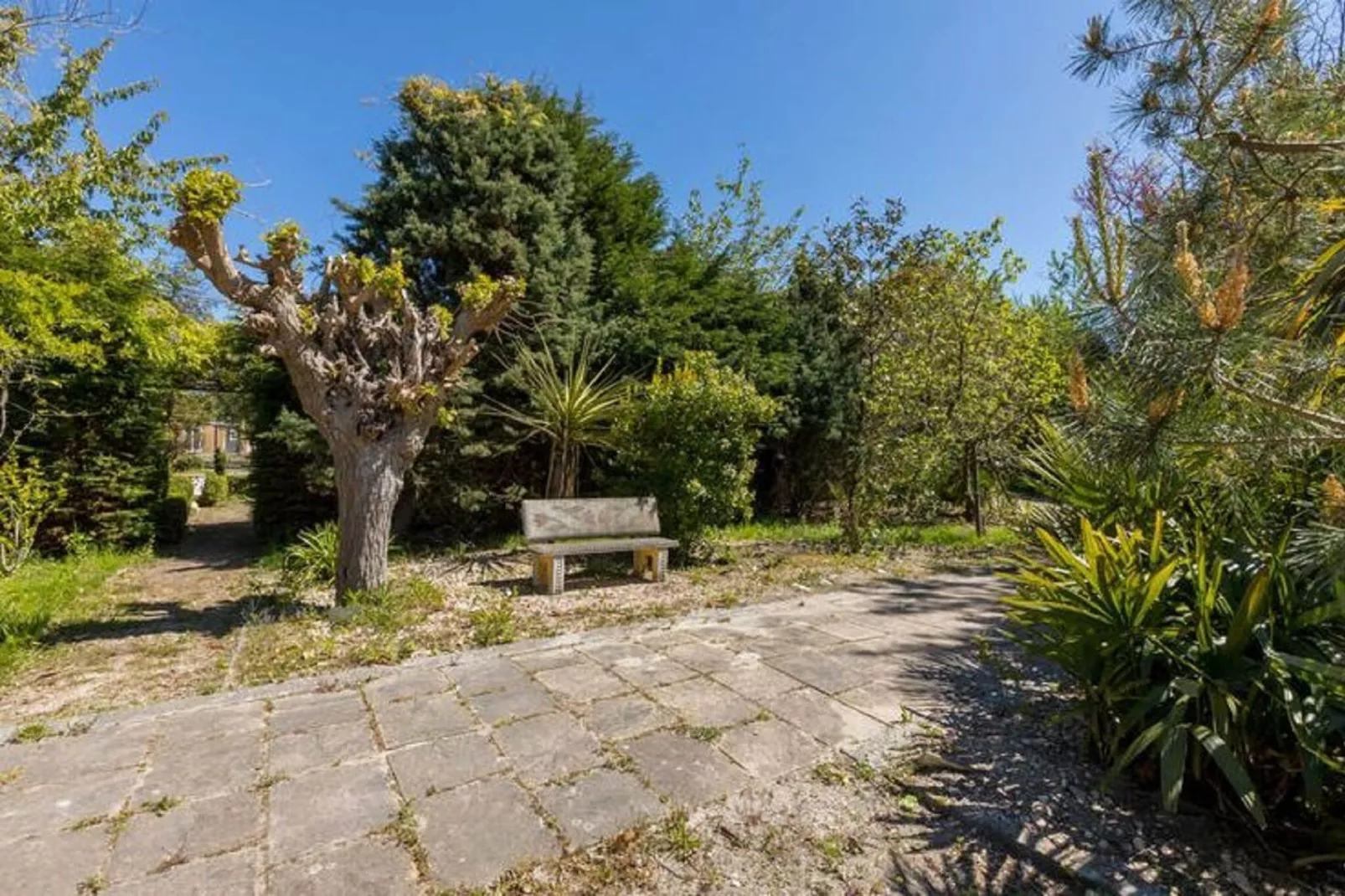 Fort den Haak - Chalet 1 t/m 10 huisdiervrij-Gebieden zomer 1km