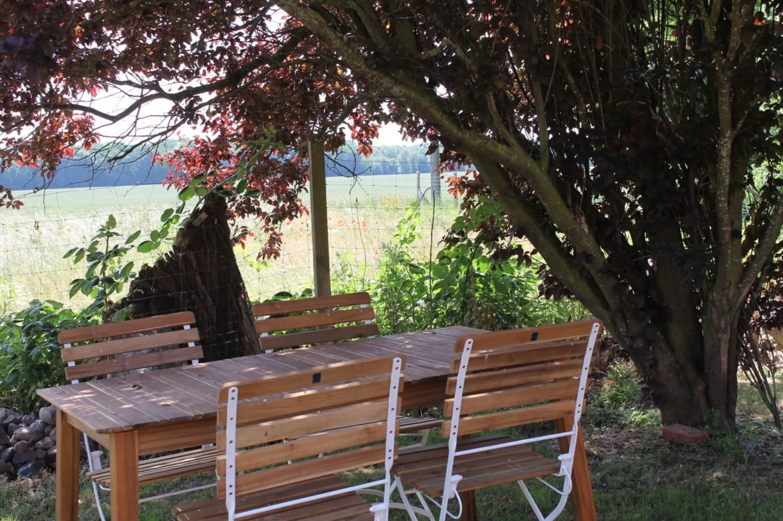Gepflegte HofWohnung 2-Terrasbalkon