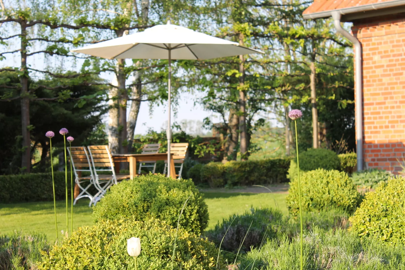 gardensummer
