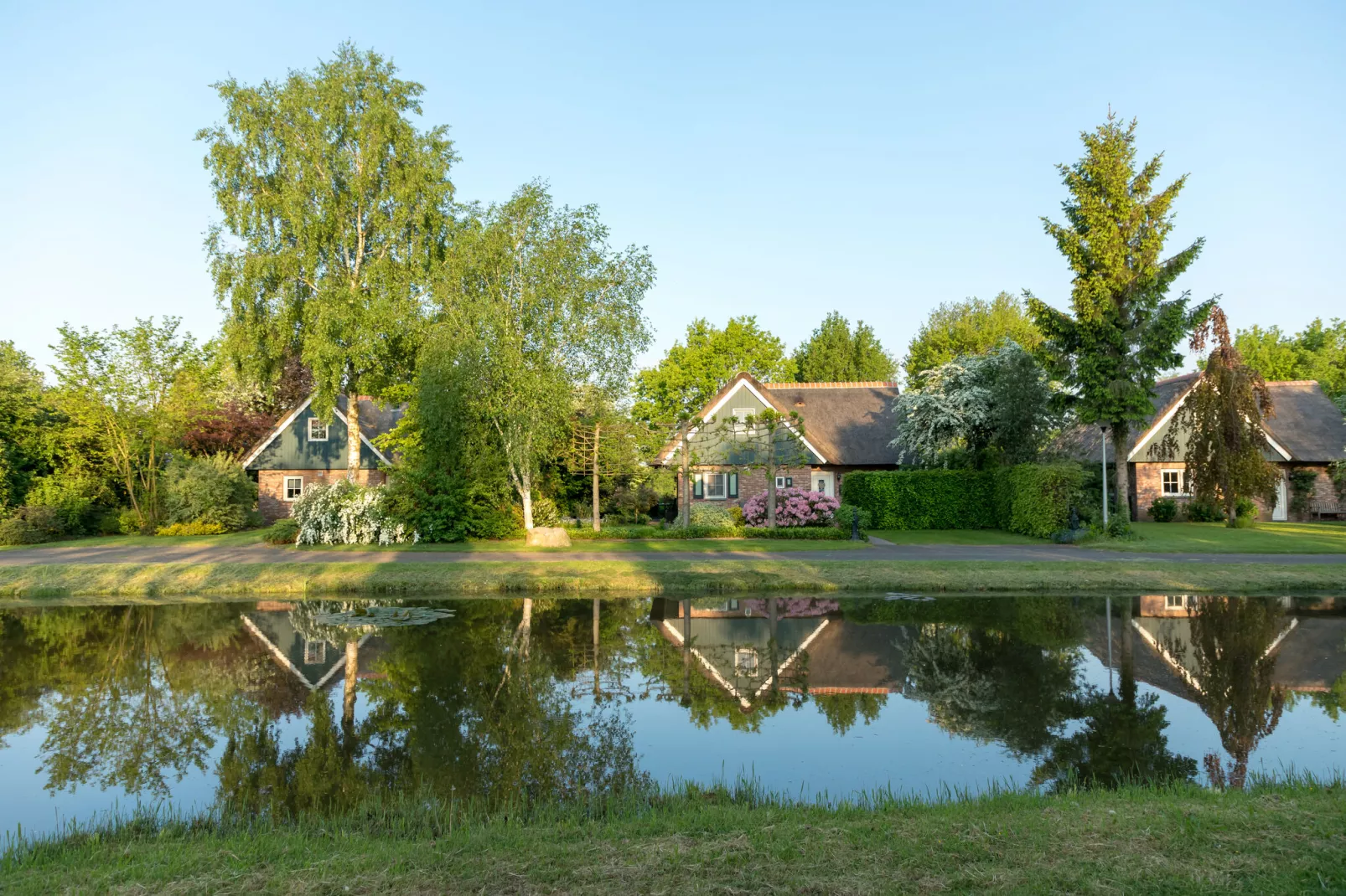 Villapark De Weerribben 5-Parkfaciliteiten